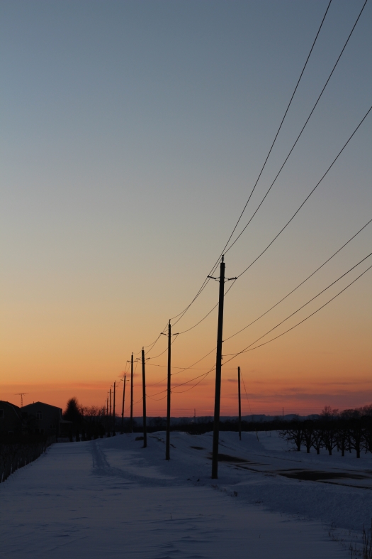 Electrical poles silhouetted against a pink, orange, and blue sky. There is blue snow on the ground and a barn on the horizon. 