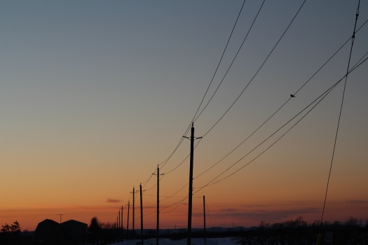 A dove sits on an electrical wire. Electrical poles silhouetted against a pink, orange, and blue sky. There is blue snow on the ground and a barn on the horizon. 